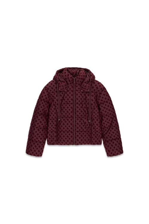 Guess Clothes  Bordeau dames (New Daisy Crop Logo Puffer - W6BL56W4195 G596 ) - Mayday (Aalst)