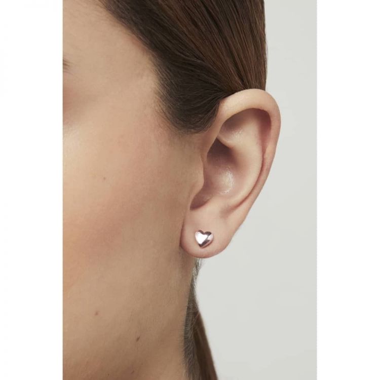 Ted Baker Jewels    (TINY HEART STUD EARRING - TBJ872-24-03 Rose Gold Tone) - Mayday (Aalst)